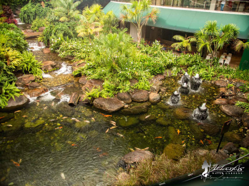 Best Morris County NJ Pond Builder -Atlantis Water Gardens - Mendham NJ