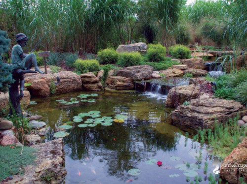 koi pond picture by atlantis water gardens of denville nj