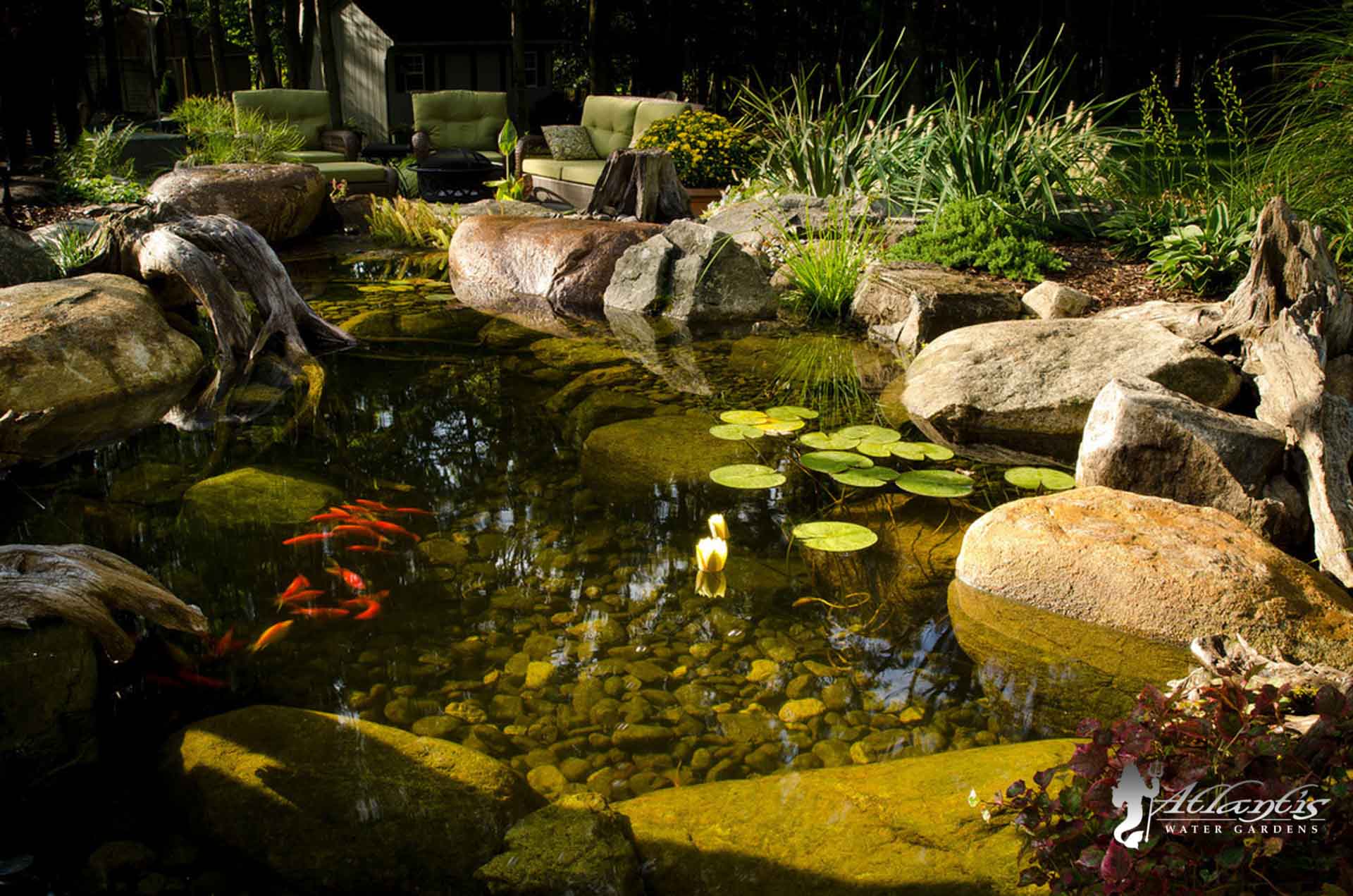Koi Ponds by Atlantis Water Gardens - Denville NJ