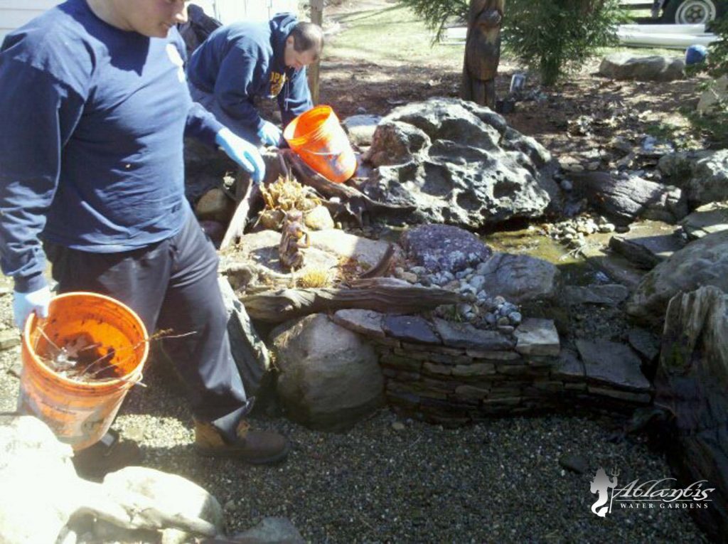 Water Feature Service & Maintenance, Denville NJ