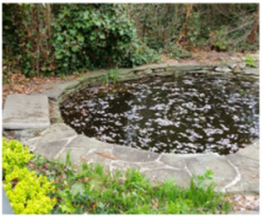 improper circulation in pond atlantis water gardens rockaway nj
