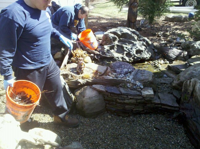 pond maintenance atlantis water gardens denville nj