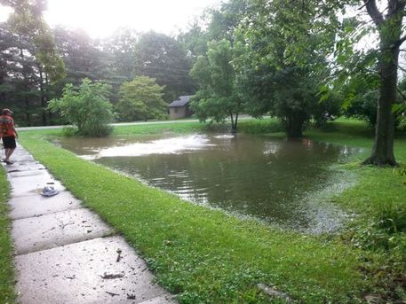 Is the Best Place For My Pond In The Lowest Spot In My Yard