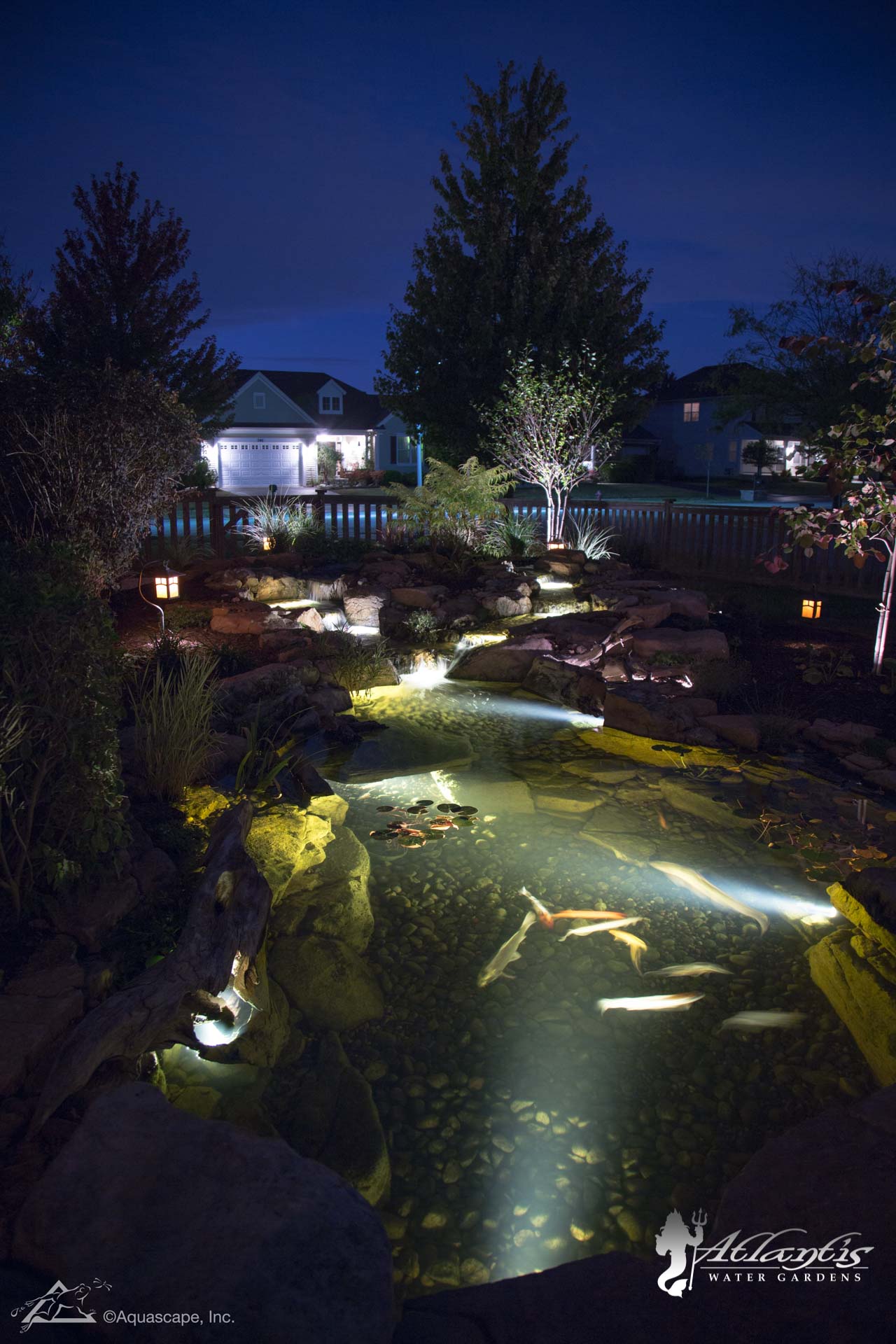 ecosystem koi pond with lighting installations