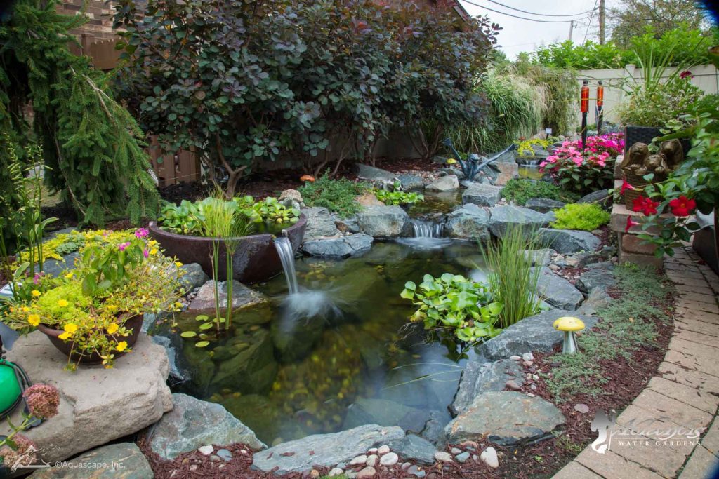 water garden services by atlantis water gardens morris county nj