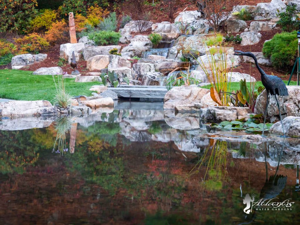 koi pond picture by atlantis water gardens denville nj
