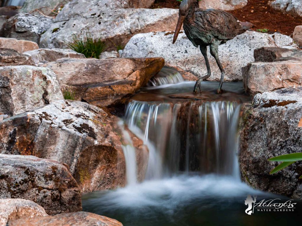 Pond by Atlantis Water Gardens - Mendham NJ-24