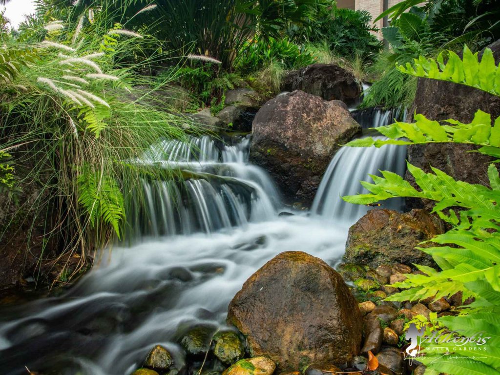 amazing pondless waterfall by atlantis water gardens