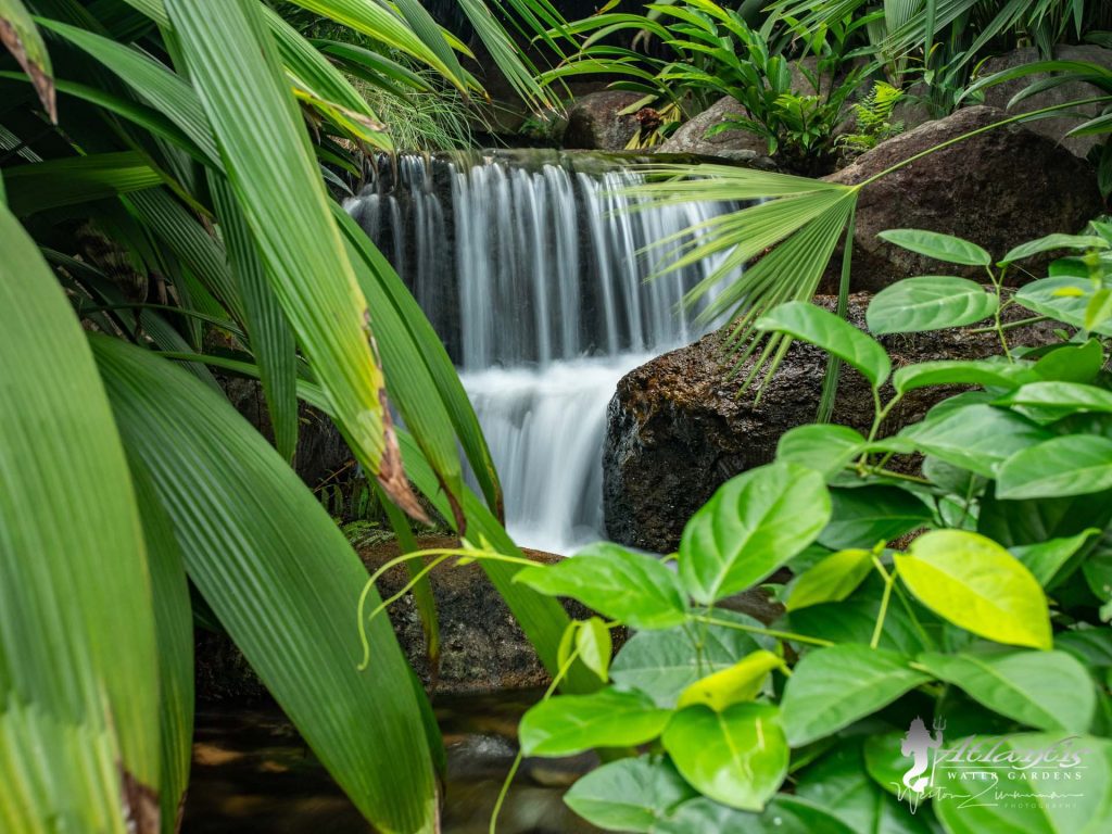 pondless waterfall pictures atlantis water gardens denville nj