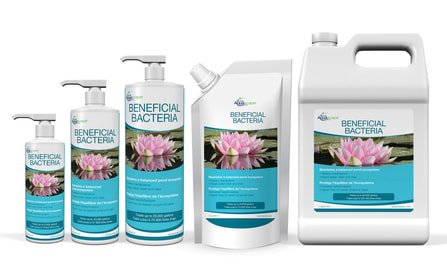 aquascape beneficial bacteria