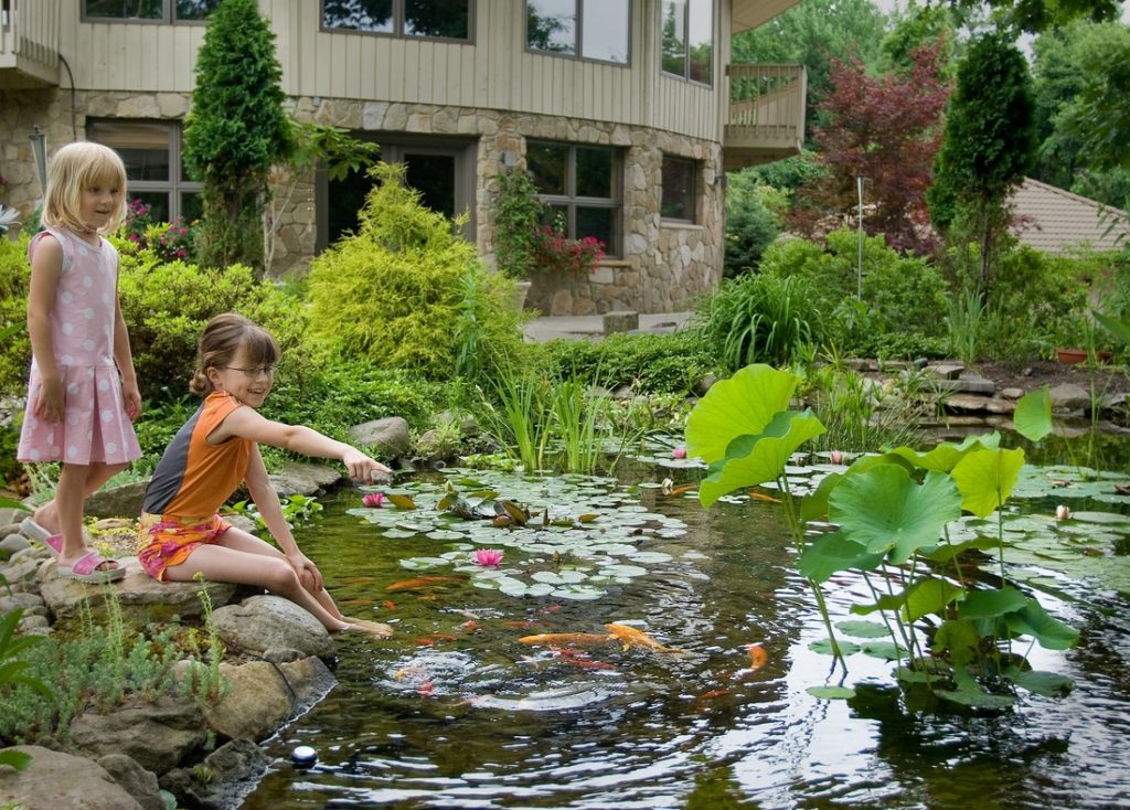 Are koi ponds a liability or safety issue