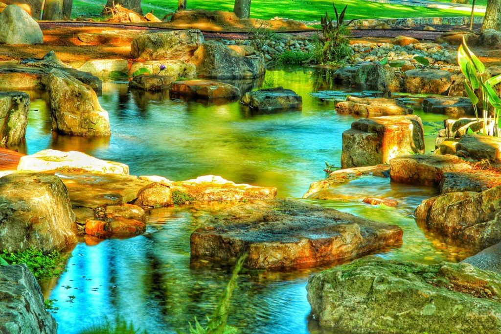 beautiful koi pond