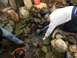 cleaning a pond in denville nj, atlantis water gardens