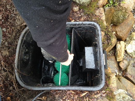 cleaning an aquascape skimmer in nj