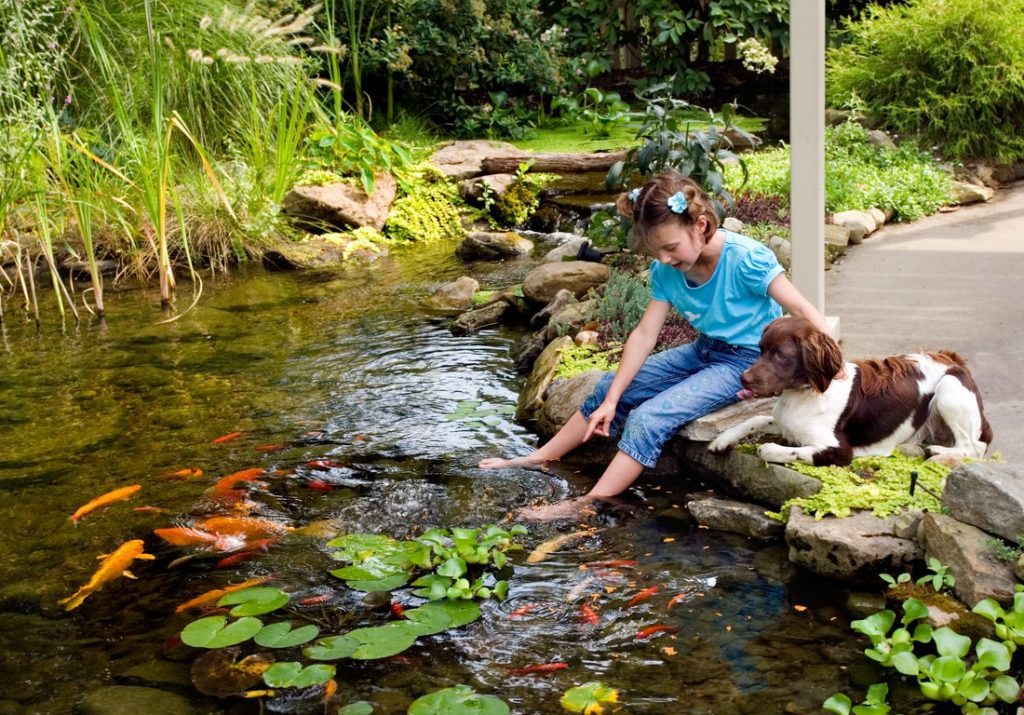 does a koi pond decrease my home value