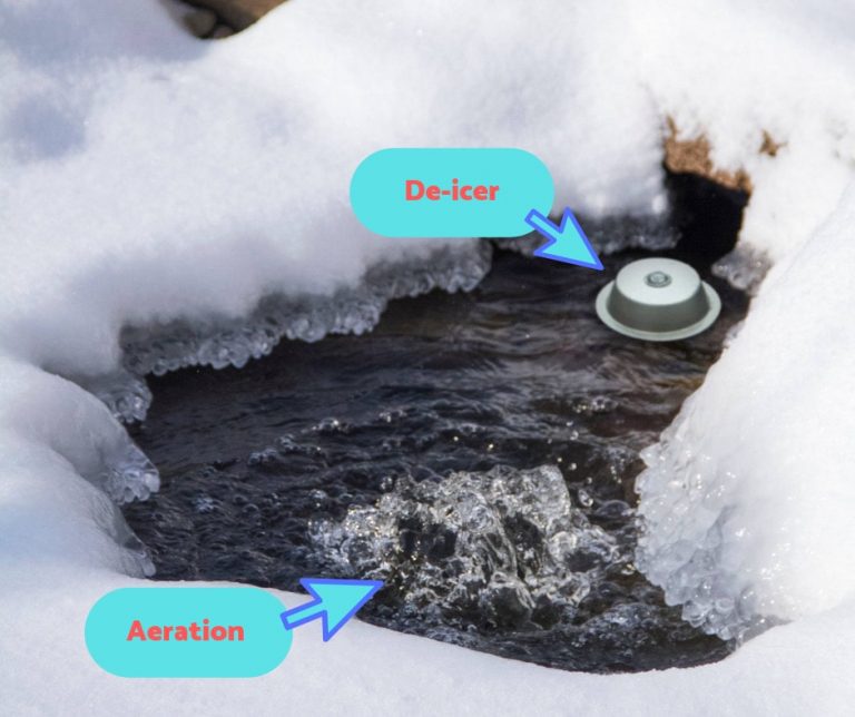 Do I need a pond aerator this winter