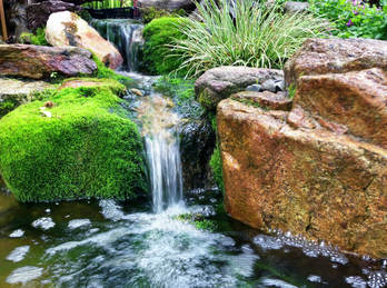 small backyard waterfall with natural moss