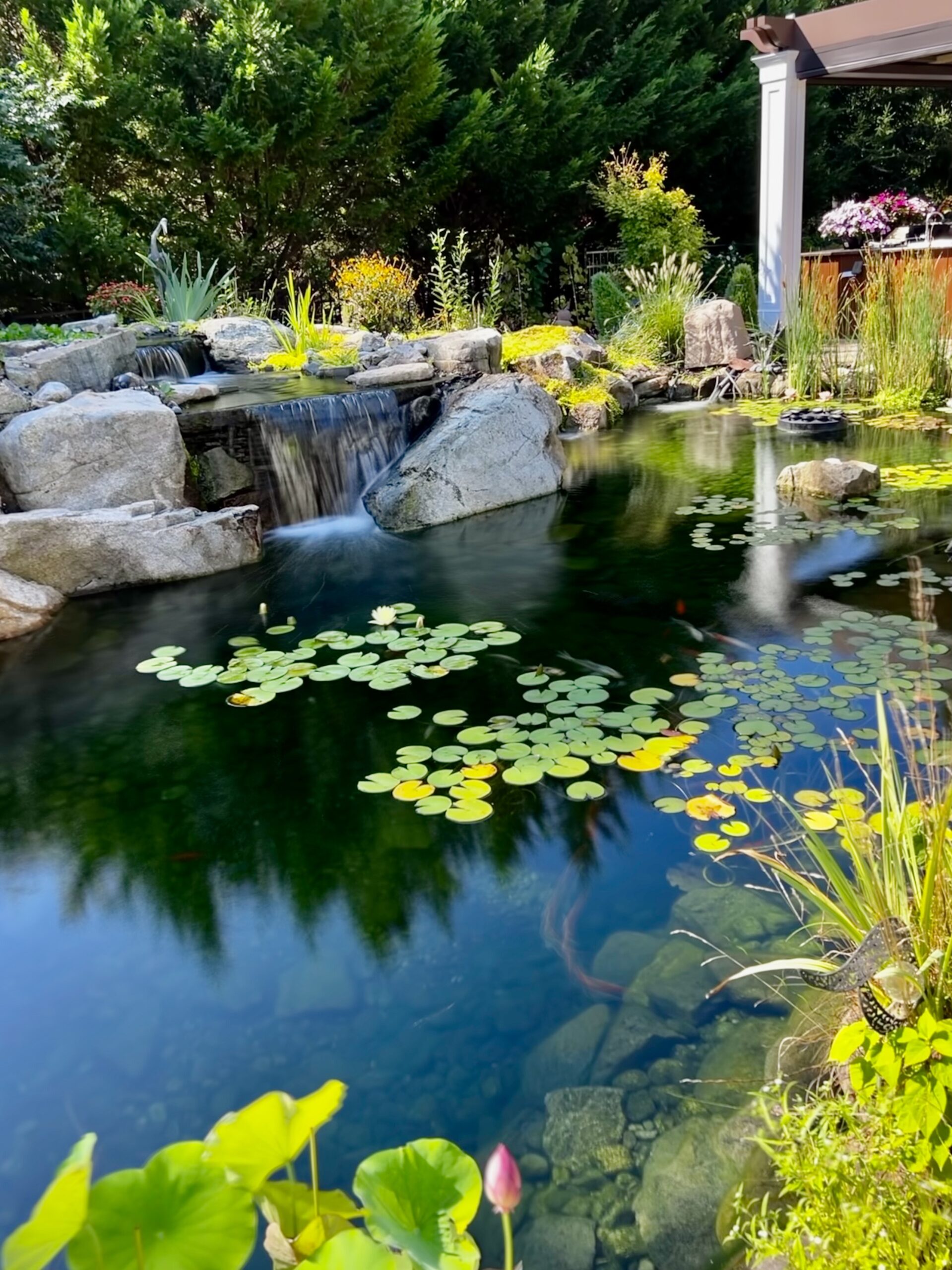 Is a Pondless or an Eco-System Pond a better fit for my space in New Jersey?