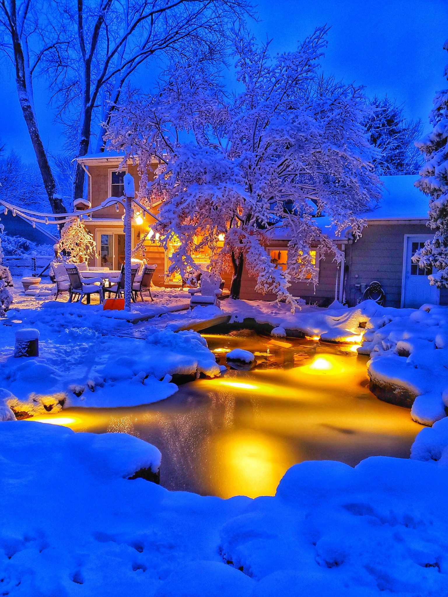 Koi Pond in Winter Preparation Tips and Survival Guide