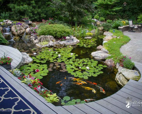 Ways to Prepare Your Koi Pond for Fall and Winter