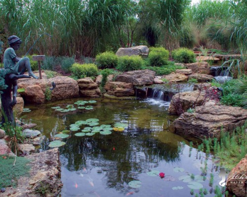 Pond Maintenance Tips for The Summer