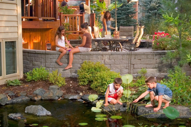 Kids playing in a backyard with a pond.