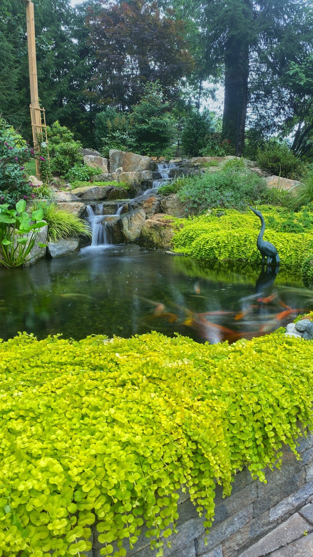 Top 8 Reasons to Build a Pond Or Water Garden