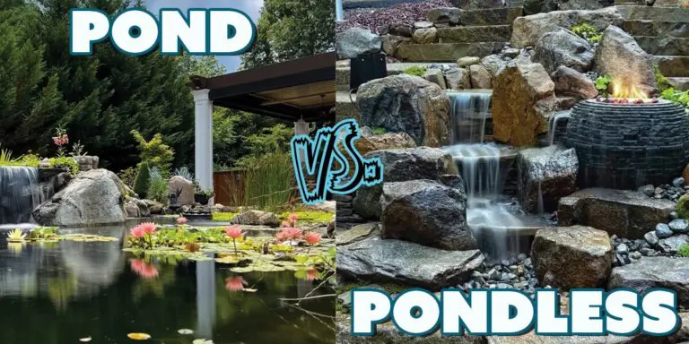 Pond Vs Pondless 768x384