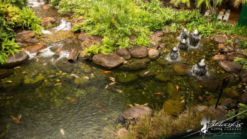 A fish pond with Koi fish, a small waterfall, and numerous small fountains.