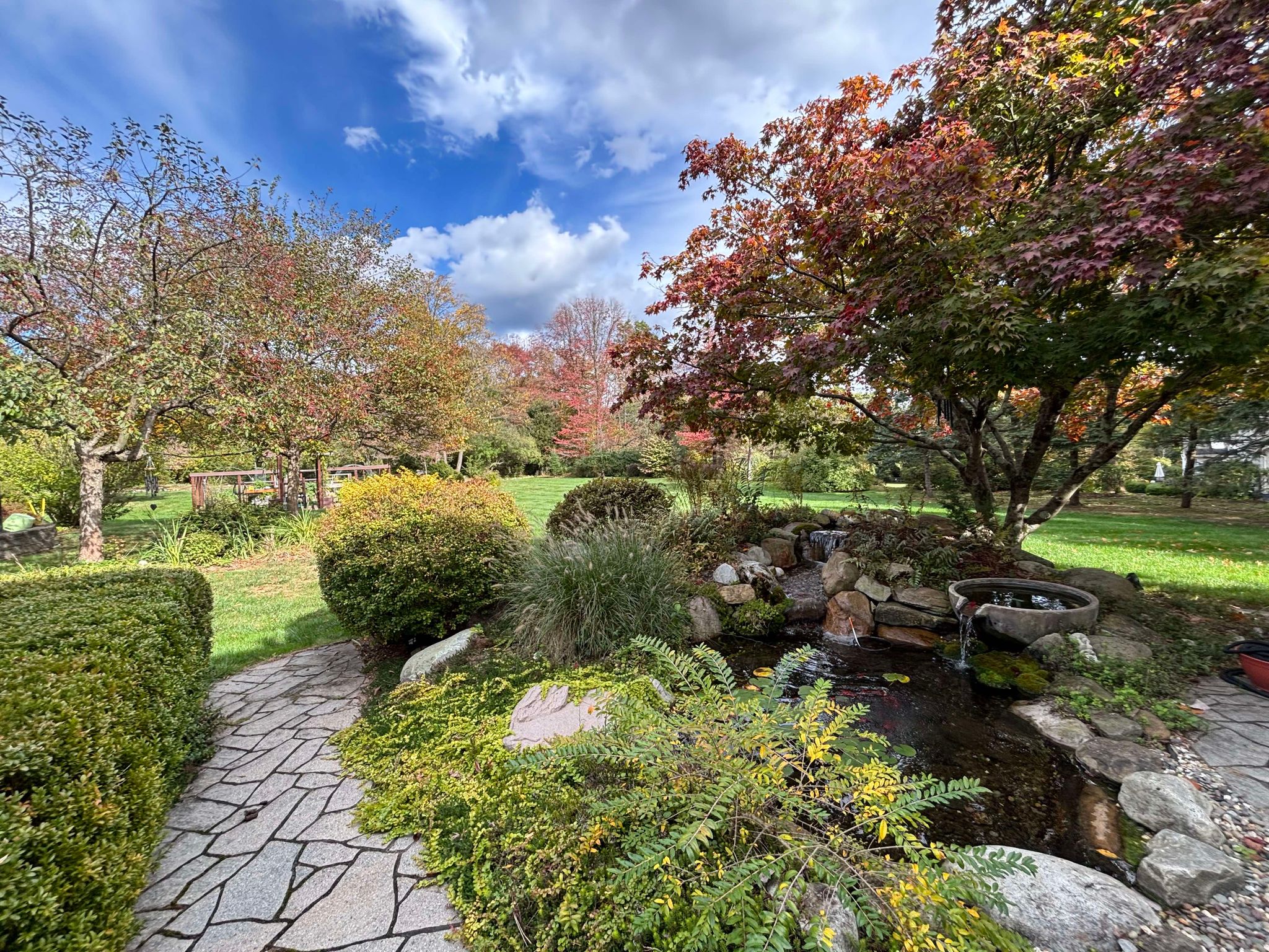 Fall Pond Maintenance