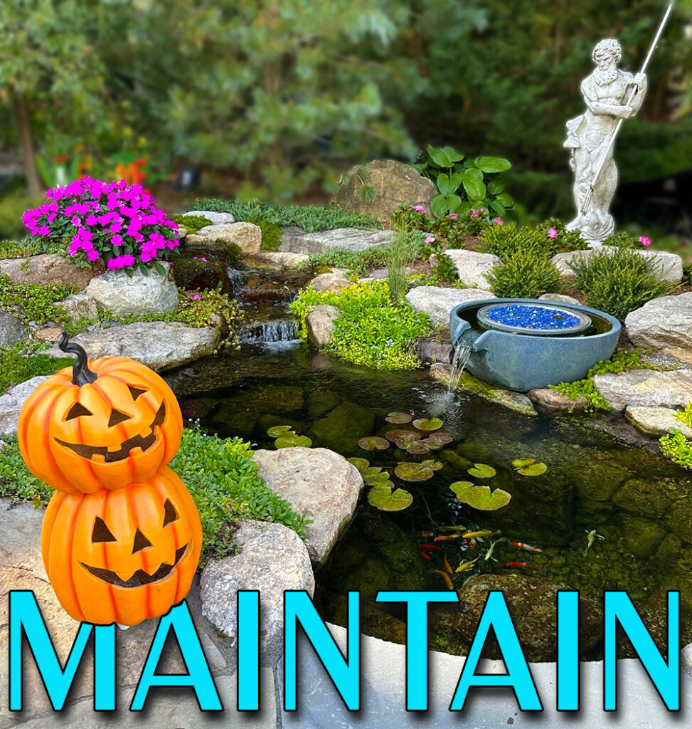 Fall Maintenance