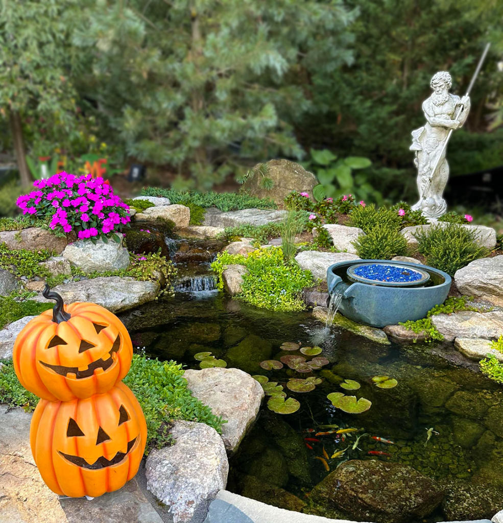 Maintaining your water feature in the fall