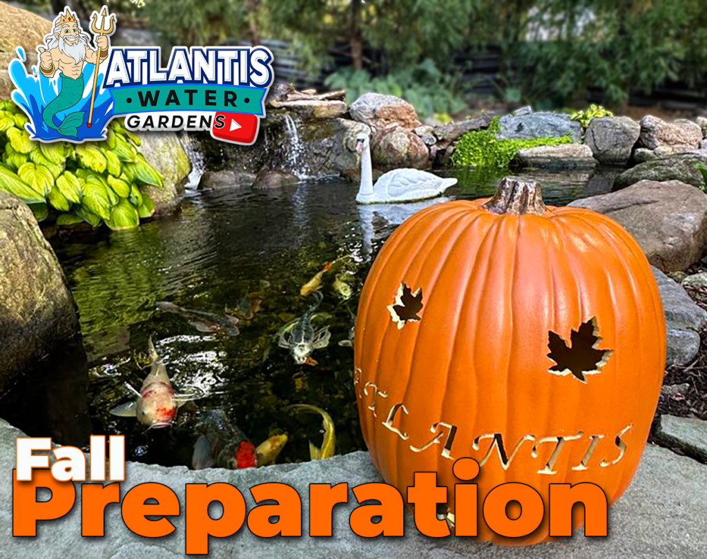 Keep leaves out of your pond