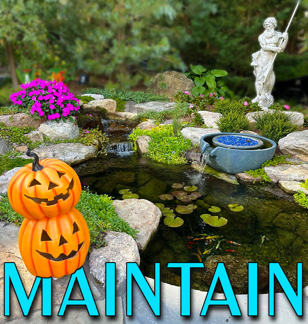 How Can You Maintain Your New Jersey Water Feature This Fall