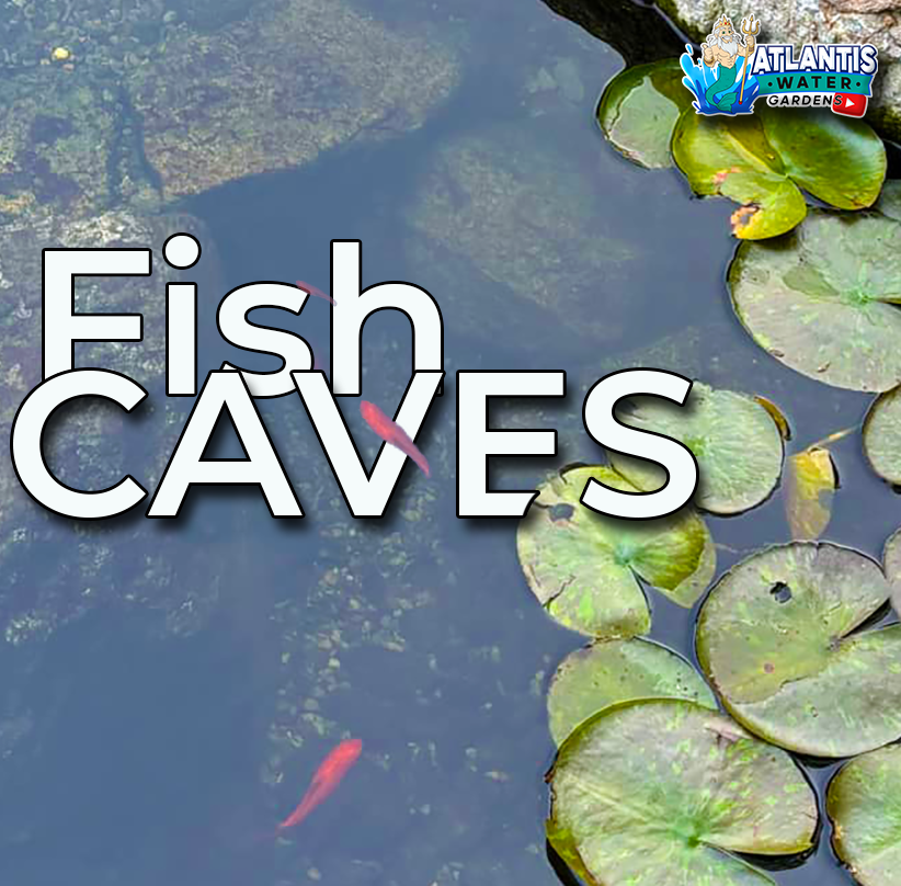 Fish Cave