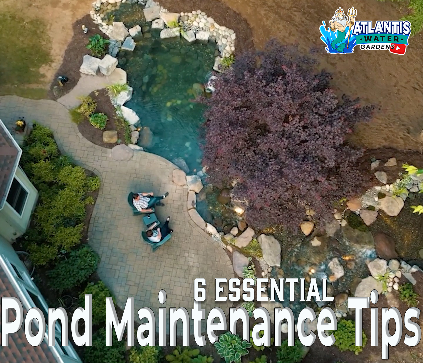 Essential Pond Tips