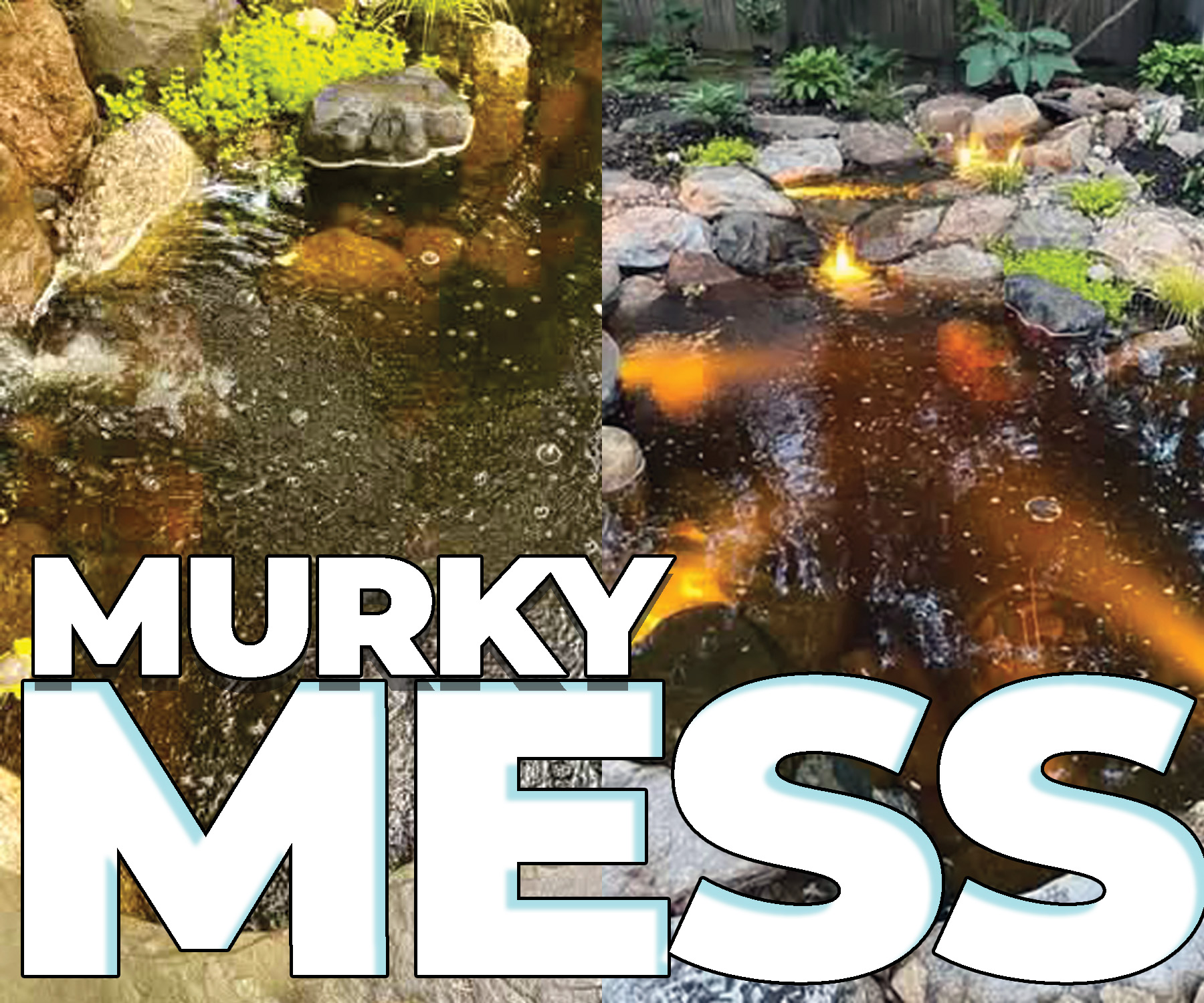 Pond turning brown