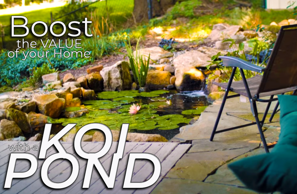 5 ways to boost my New Jersey Home Value with a Koi Pond