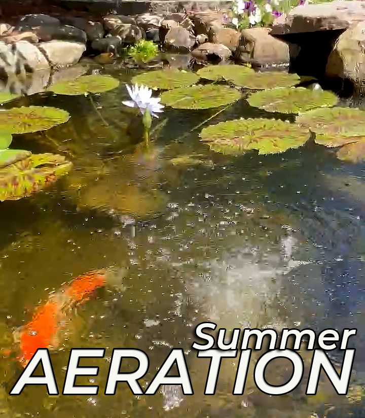 Summer Aeration in New Jersey