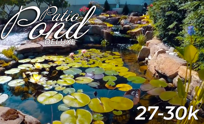 Patio Pond Deluxe New Jersey