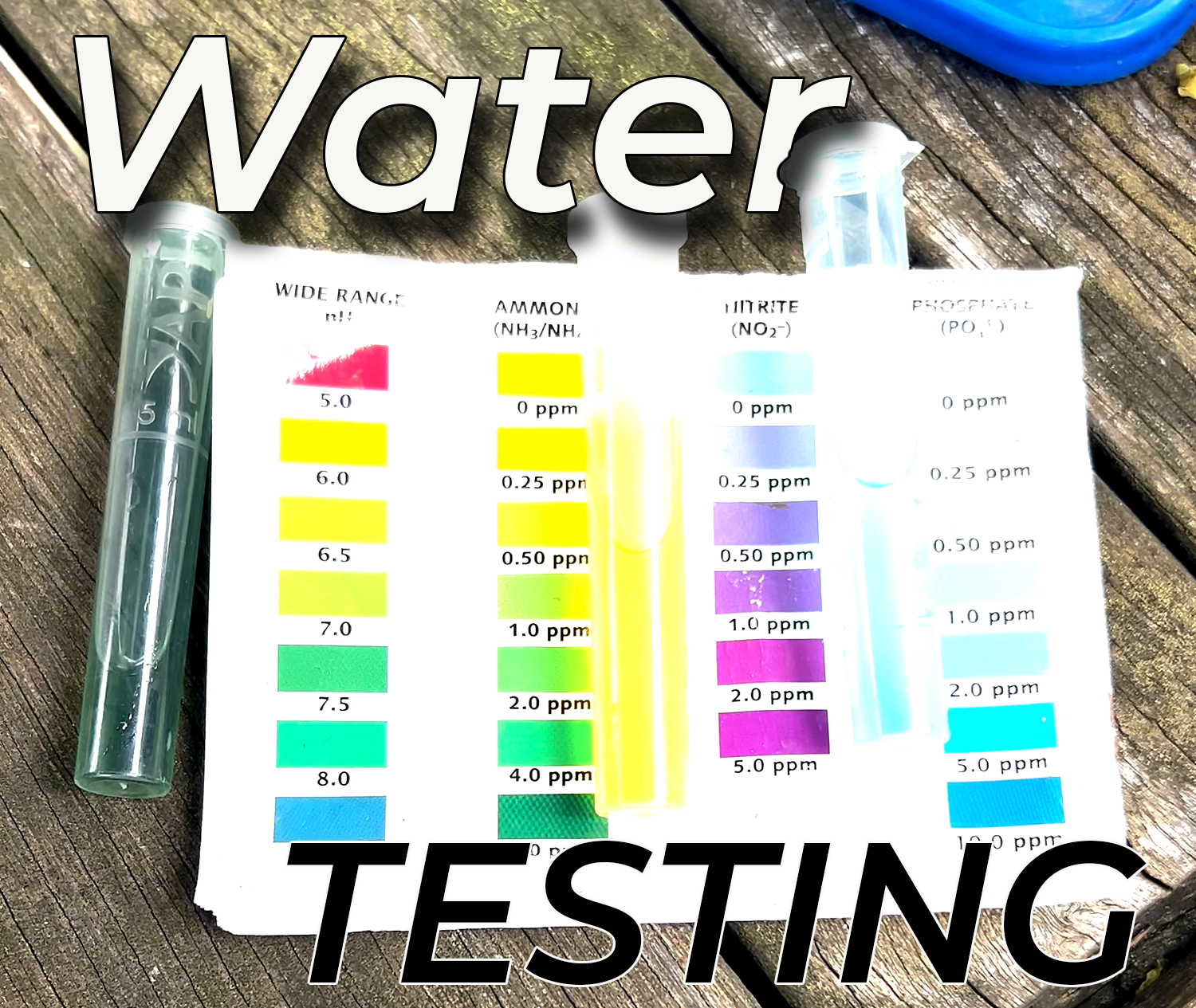 New Jersey Pond Water Test