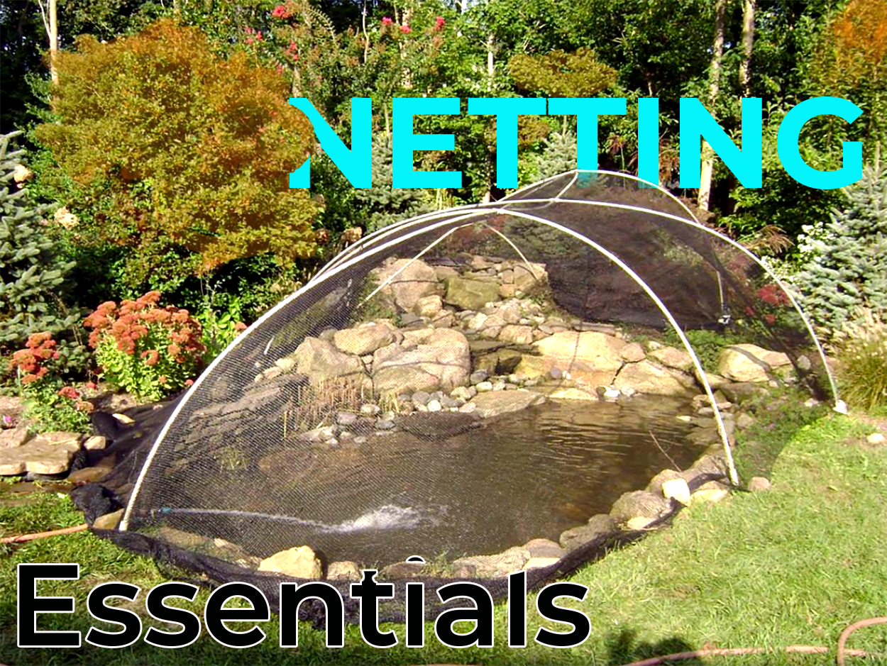Pond Netting this fall in New Jersey