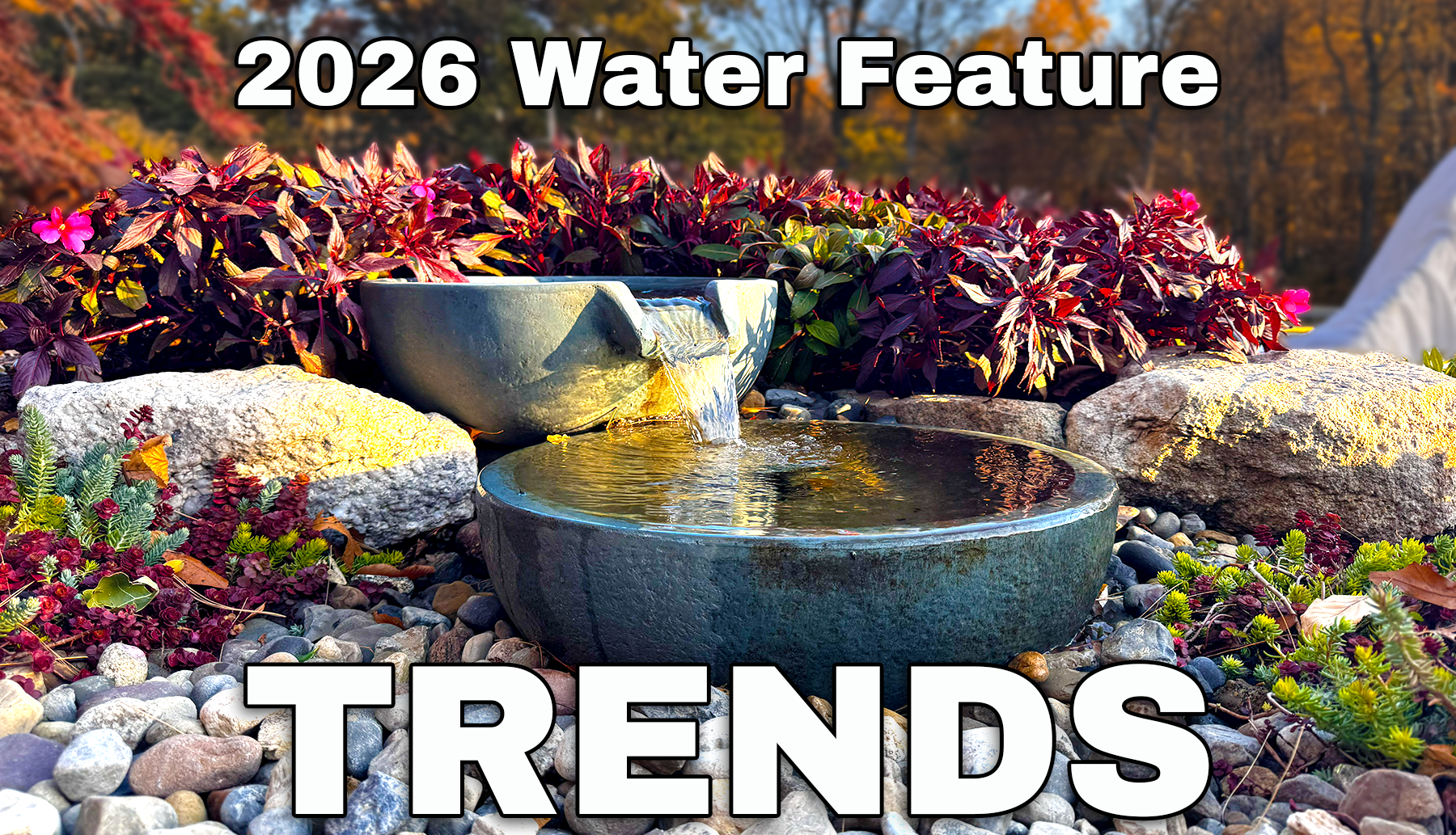 2026 Water Feature Trends