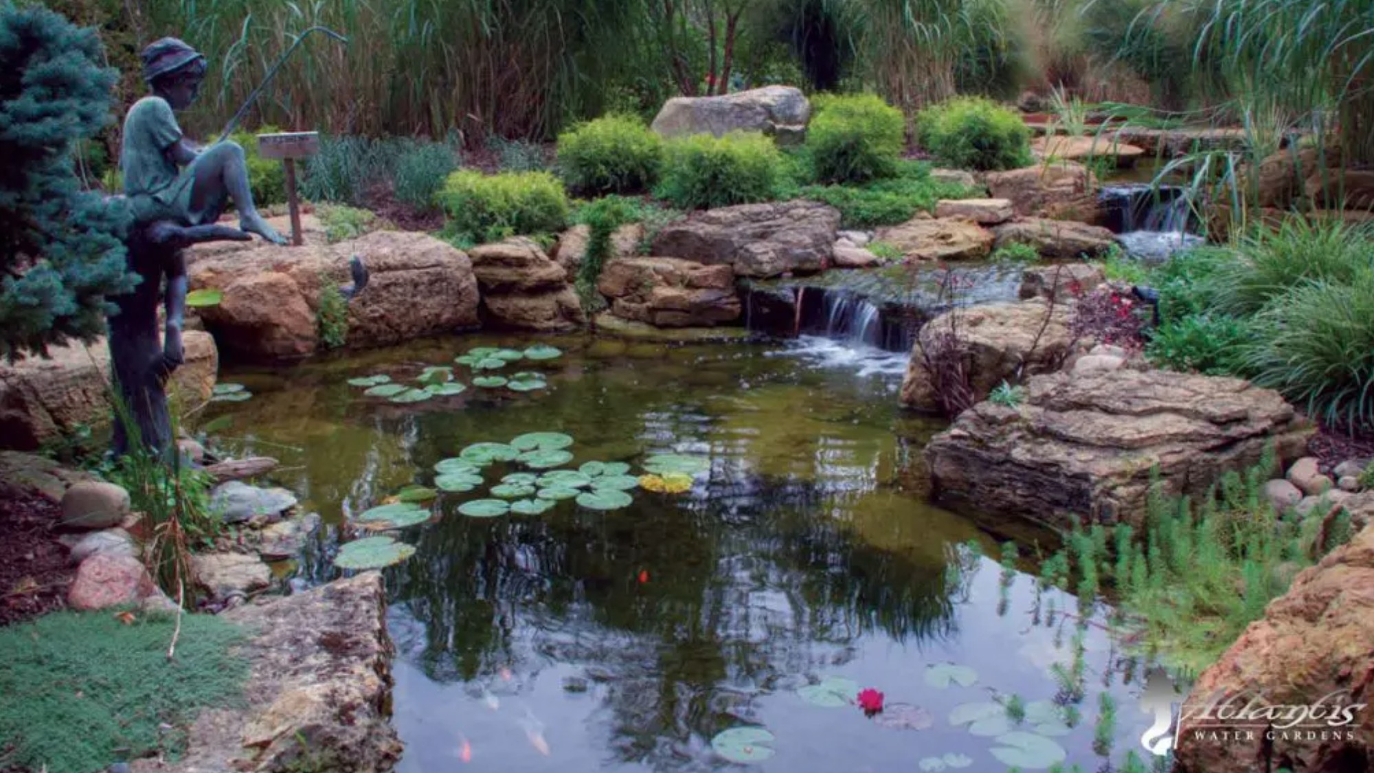 An Essex County pond with a natural waterfall and lily pads with koi fish swimming in it.