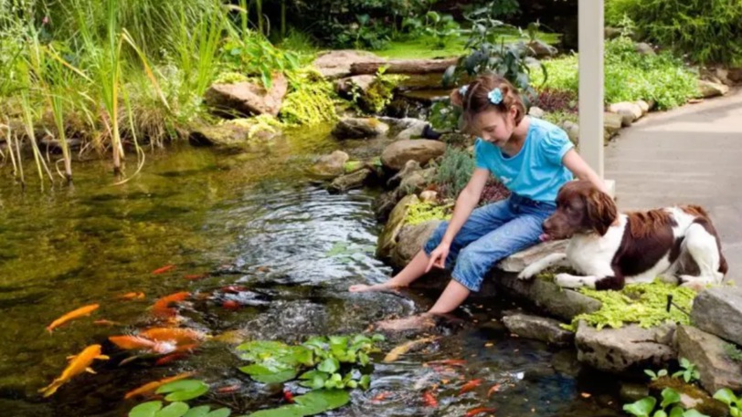 A young child sits next to a brown and white dog with her feet in the water.