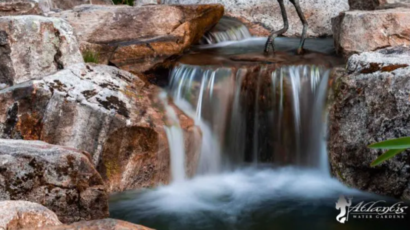 A waterfall dropping down into a koi fish pond surrounded by natural rocks.