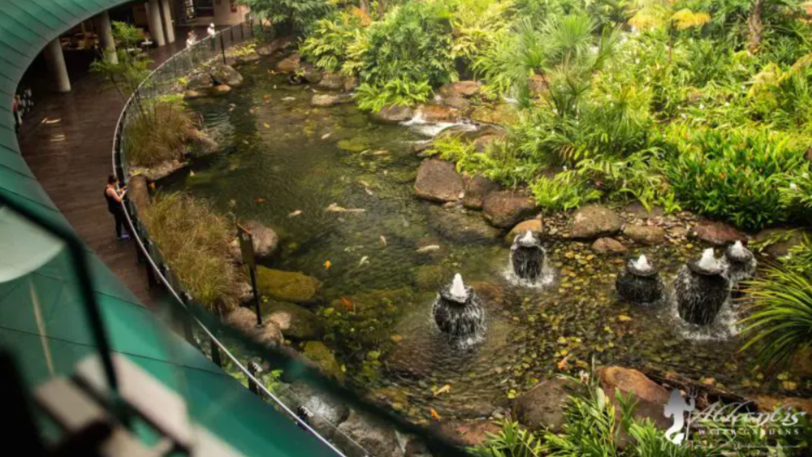 A large koi pond with fountains and lush landscaping in a commercial mall space.