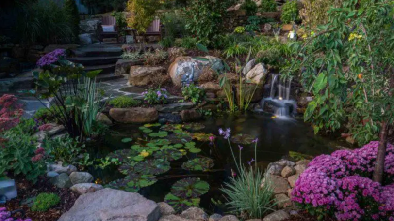 A well-designed koi pond in a backyard with hardscaping and a waterfall.